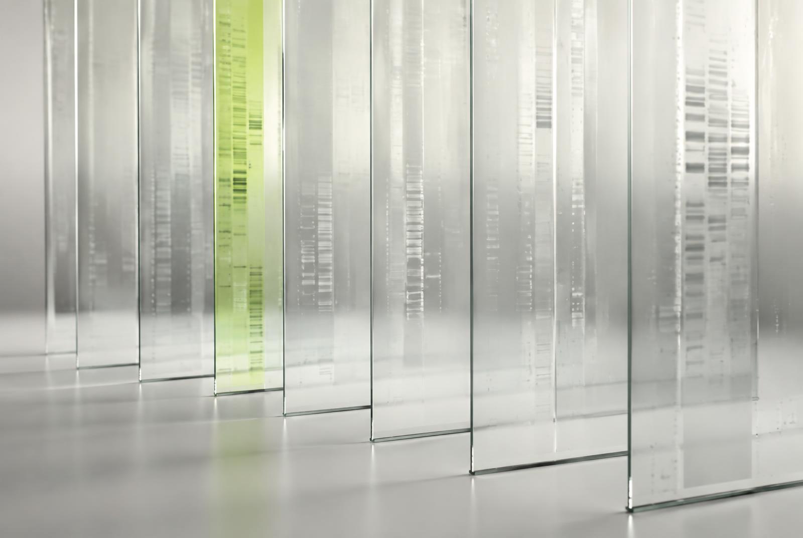 Abstract photograph of glass panels with faint diagnostic patterns, one lit in lime green
